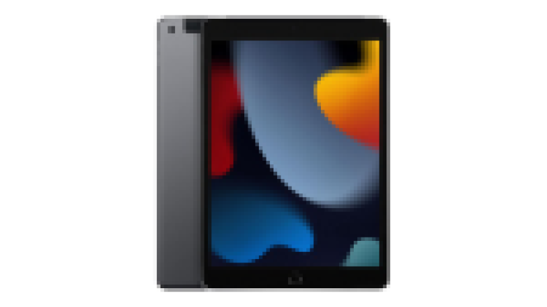 iPad (9th gen)