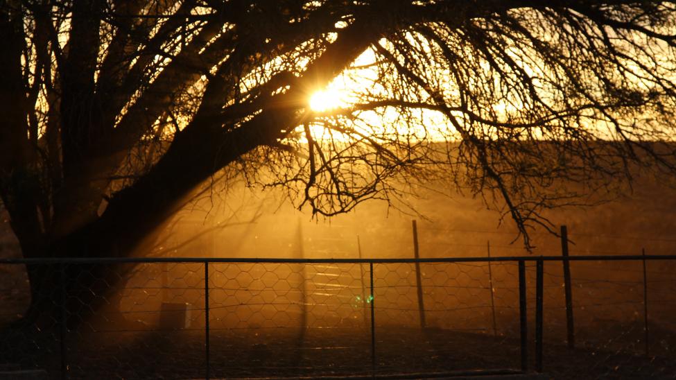 Rooiberg, Williston, Karoo (by Andre Stander)