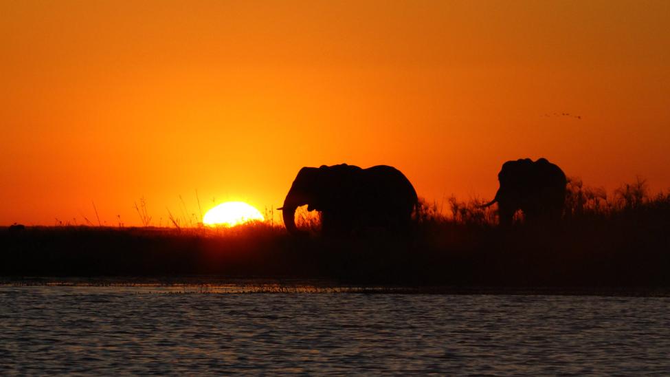 Chobe River, Botswana (by Andre Stander)