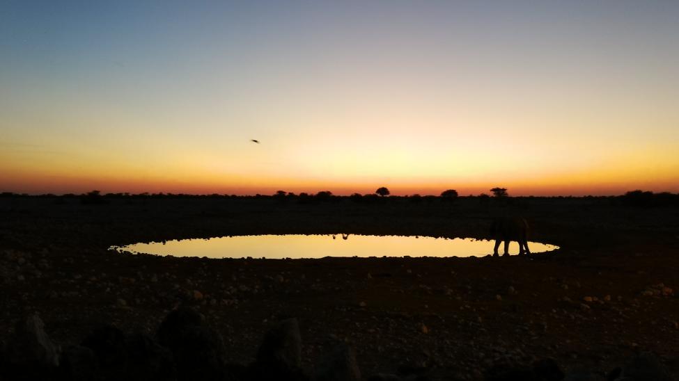 Okekujuo Camp, Etosha, Namibia (by Brent Boswell)