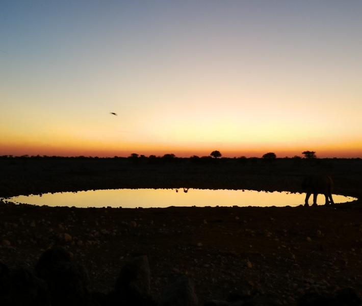 Okekujuo Camp, Etosha, Namibia (by Brent Boswell)